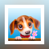 Pet Island: Build a cute pet shop!